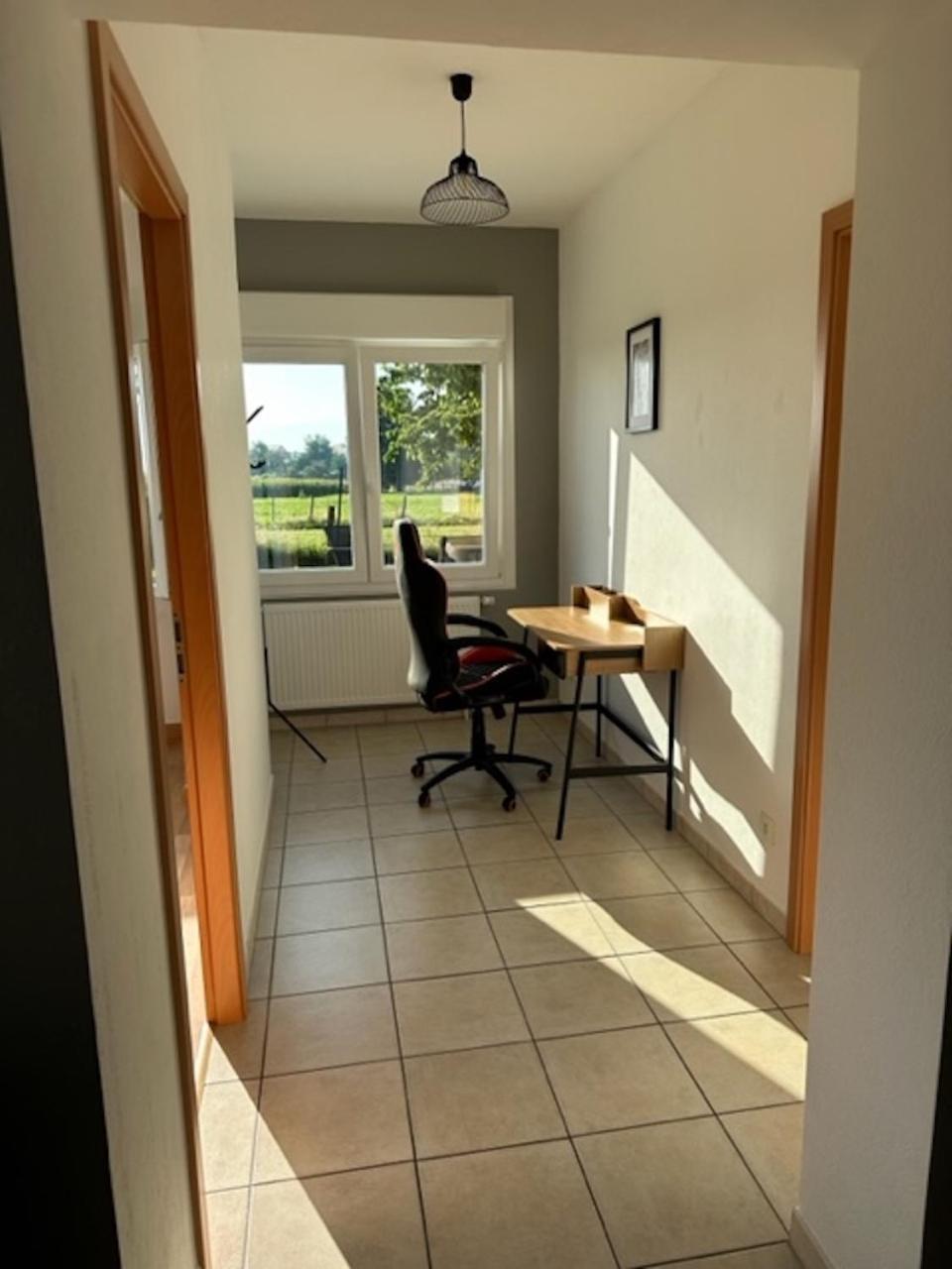Le Nid Du Moulin Apartment Batzendorf Екстериор снимка