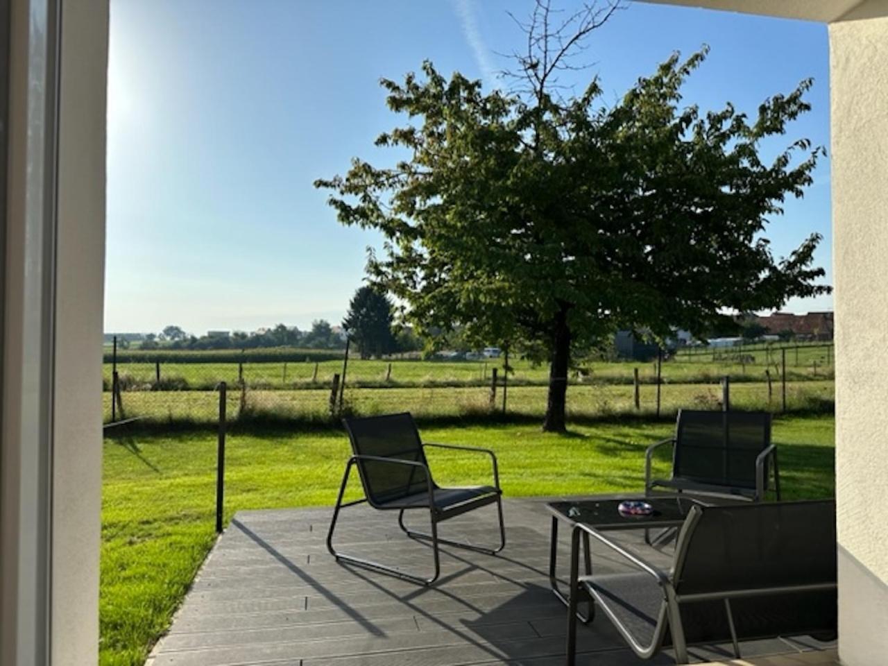 Le Nid Du Moulin Apartment Batzendorf Екстериор снимка